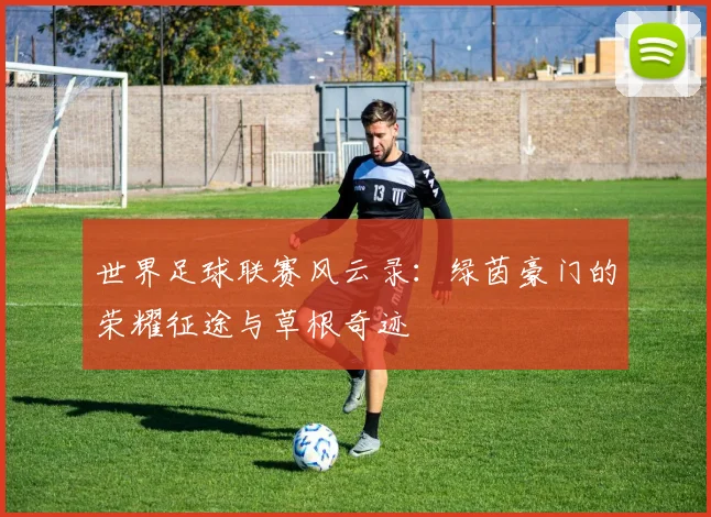 世界足球联赛风云录:绿茵豪门的荣耀征途与草根奇迹