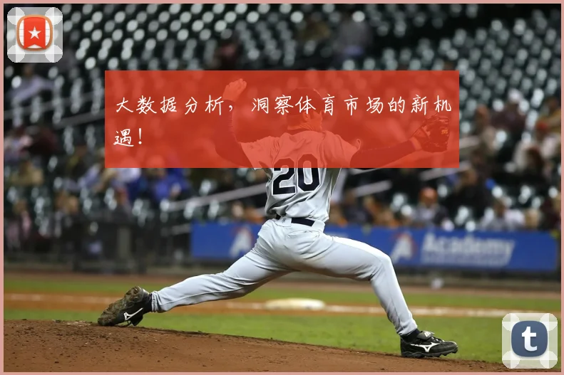 大数据分析，洞察体育市场的新机遇！